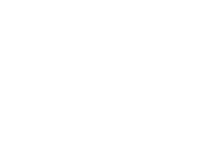 Partenaire logo Statsmétrique