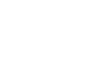 Partenaire logo Hikone