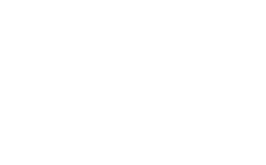 Logo Physiosport partenaire du club du SCA white