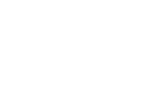 Logo Noé Boulangerie Pâtisserie Bio partenaire du SCAF