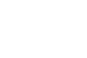 Logo SRH Plus