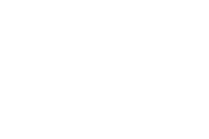 Partenaire Auto de Patron